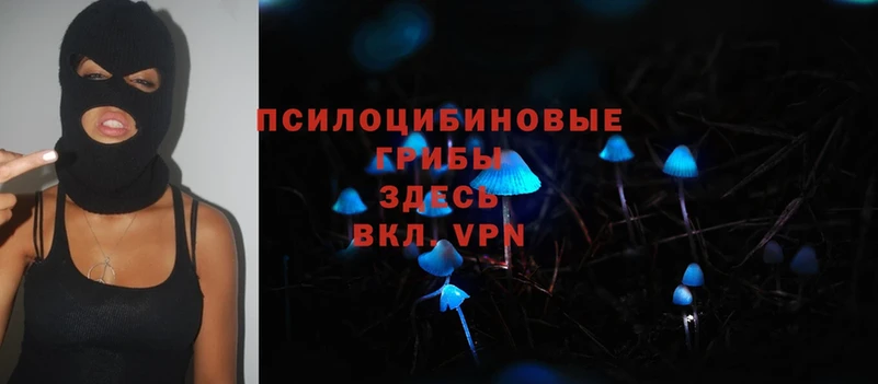 Псилоцибиновые грибы MAGIC MUSHROOMS  закладка  Кувшиново 